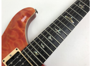 PRS Custom 22 Birds Top-10 (722)