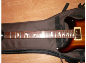 PRS SE Standard 22 (4327)