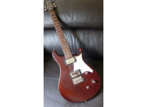 PRS SE Standard 22 (54386)