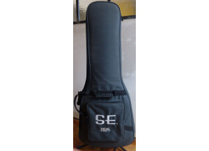 PRS SE Standard 22 (77540)