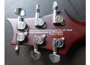 PRS SE Standard 22 (38769)