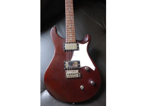 PRS SE Standard 22 (74154)