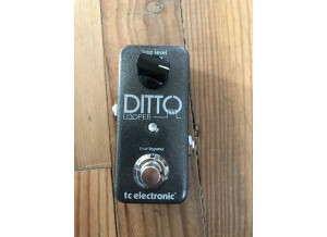 TC Electronic Ditto Looper (41676)