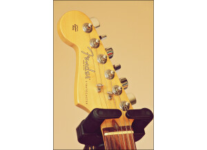 Cort Earth 100 NS 05.JPG