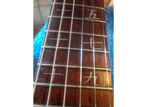 Cort MBC1 Matthew Bellamy Signature (72028)