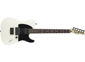 Squier Jim Root Tele (55504)