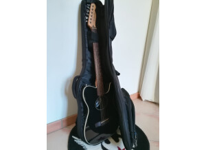 Fender Standard Telecoustic [2009-2015] (46689)