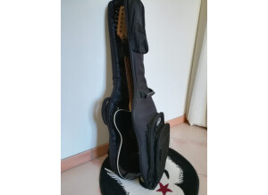 Fender Standard Telecoustic [2009-2015] (46934)
