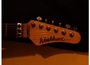 Washburn MG401