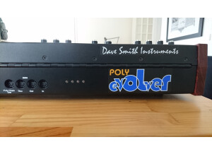 Dave Smith Instruments PolyEvolver Keyboard Pot Edition (98456)