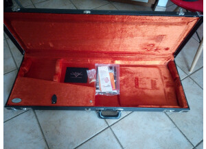 Fender James Burton Telecaster (5087)