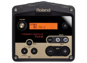 Roland TR-09 (22753)