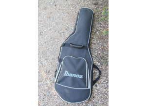 Ibanez FRM100 (47270)