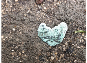 chewing gum coeur 04 800x600