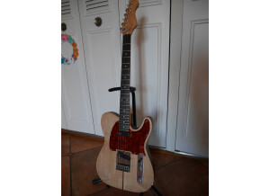 Washburn N61 (45964)