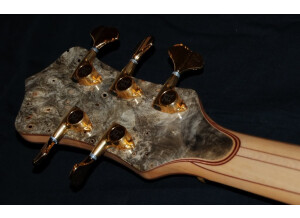 Alembic Mark King Signature Deluxe