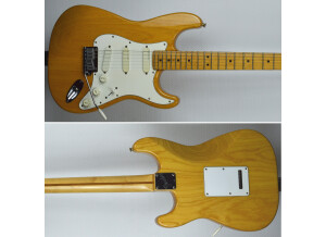 Fender Standard Stratocaster Plus Top (3379)