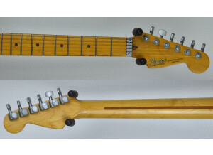 Fender Standard Stratocaster Plus Top (19877)