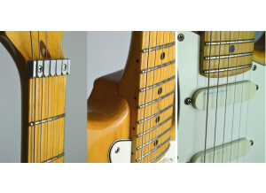 Fender Standard Stratocaster Plus Top (83093)