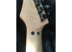 Ibanez JS1000 (69378)