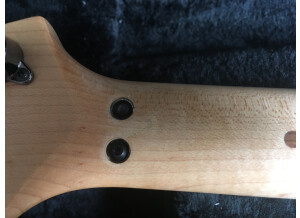 Ibanez JS1000 (90262)