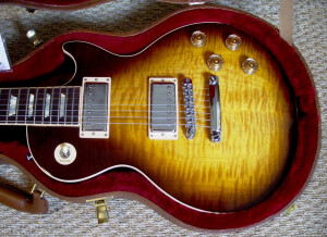 Gibson Les Paul Standard 7 String Limited (57505)