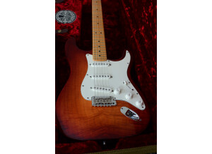 Fender Select Stratocaster (65412)