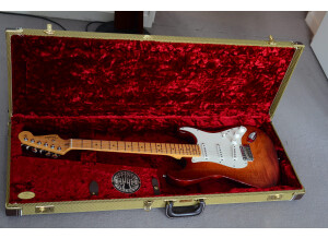 Fender Select Stratocaster (28645)