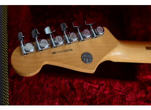 Fender Select Stratocaster (79909)