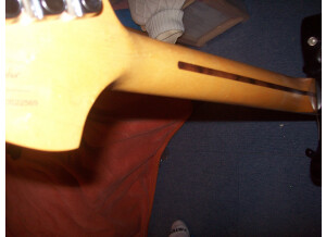 Squier Deryck Whibley Telecaster (28520)