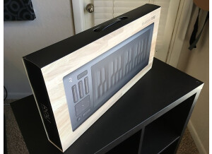 ROLI Seaboard Rise 25 (3156)