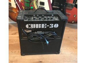 Roland Cube-30 (66130)