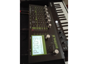 Waldorf Pulse 2 (79479)