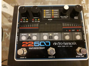 Electro-Harmonix 22500 Dual Stereo Looper (65232)