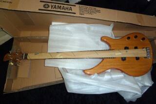 Yamaha TRBX174EW