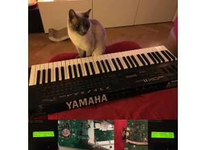 Yamaha DX11 (7941)