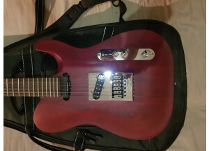 Chapman Guitars ML-3 RC (30117)