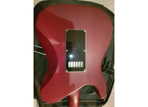 Chapman Guitars ML-3 RC (26306)