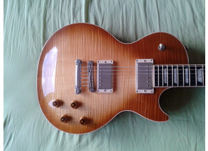 Gibson Les Paul Standard 2017 T (440)