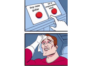 Gibson Les Paul Standard 2017 T (38559)