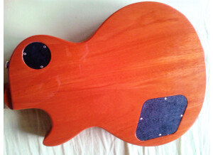 Gibson Les Paul Standard Mahogany Top (12616)