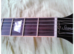 Gibson Les Paul Standard Mahogany Top (68252)