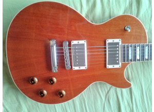Gibson Les Paul Standard Mahogany Top (19448)