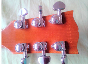 Gibson Les Paul Standard Mahogany Top (51074)