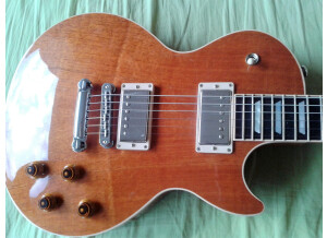 Gibson Les Paul Standard Mahogany Top (18810)
