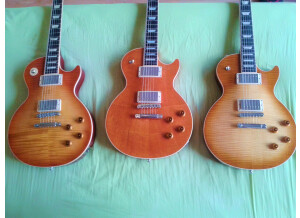 Gibson Les Paul Standard Mahogany Top (13968)