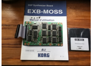 Korg Exb - Moss (99965)