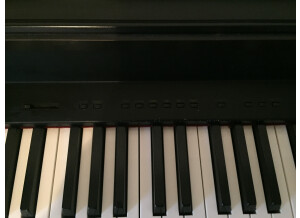 Korg EC100H (11163)