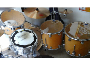 DW Drums Workshop Series Drums (83384)
