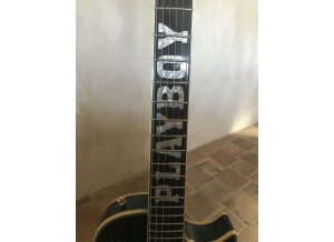 Gibson les paul playboy (49438)